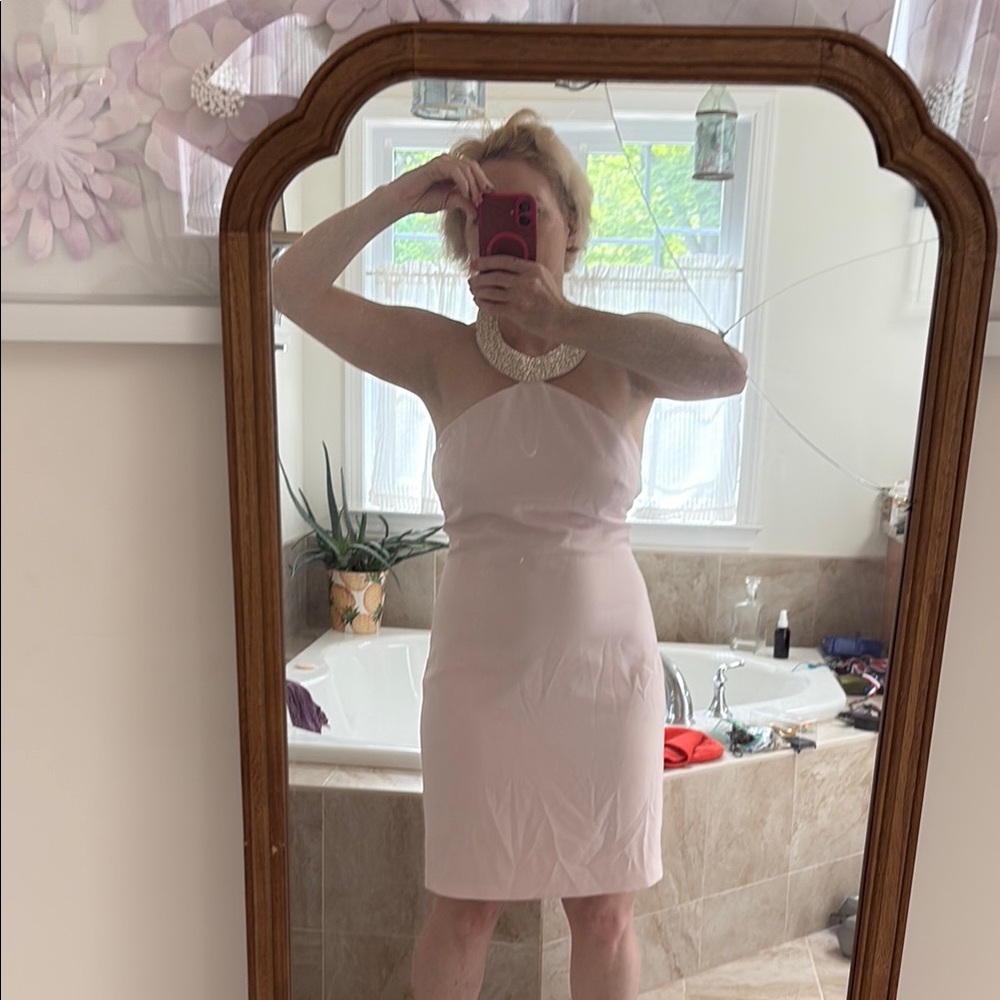 Karl Lagerfeld Soft Pink Garment